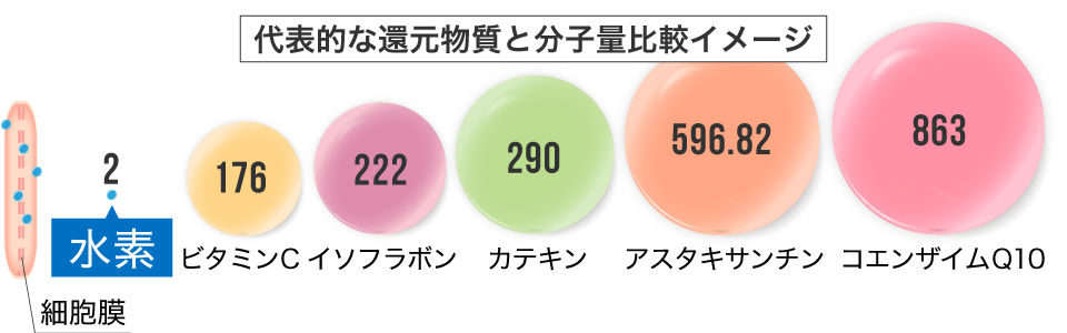 代表的な還元物質と分子量比較イメージ